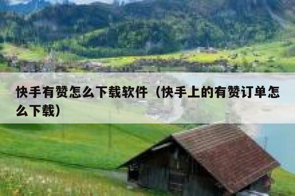 快手有赞怎么下载软件（快手上的有赞订单怎么下载） 第1张