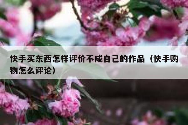 快手买东西怎样评价不成自己的作品(快手购物怎么评论) 第1张 快手买东西怎样评价不成自己的作品(快手购物怎么评论) 第1张