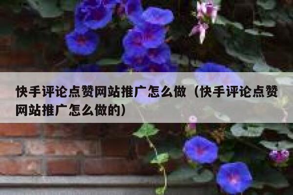 快手评论点赞网站推广怎么做（快手评论点赞网站推广怎么做的） 第1张