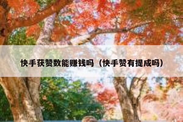 快手获赞数能赚钱吗（快手赞有提成吗） 第1张