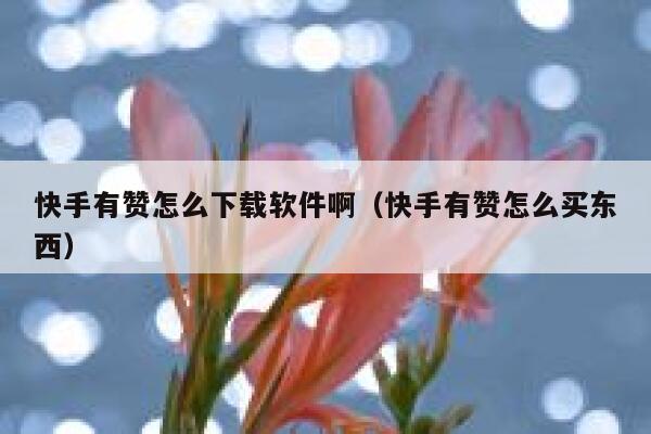 快手有赞怎么下载软件啊（快手有赞怎么买东西） 第1张
