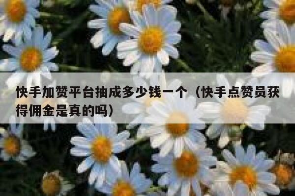 快手加赞平台抽成多少钱一个（快手点赞员获得佣金是真的吗） 第1张