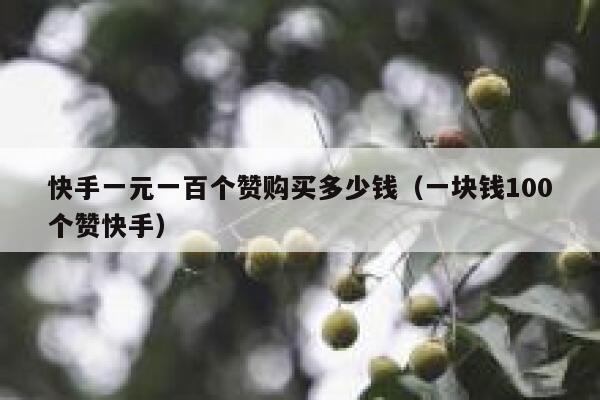 快手一元一百个赞购买多少钱（一块钱100个赞快手） 第1张