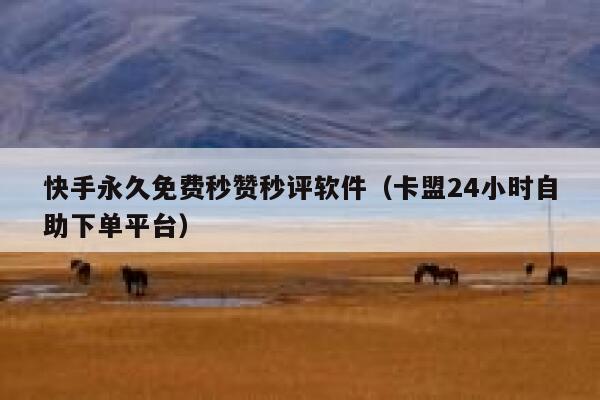 快手永久免费秒赞秒评软件（卡盟24小时自助下单平台） 第1张