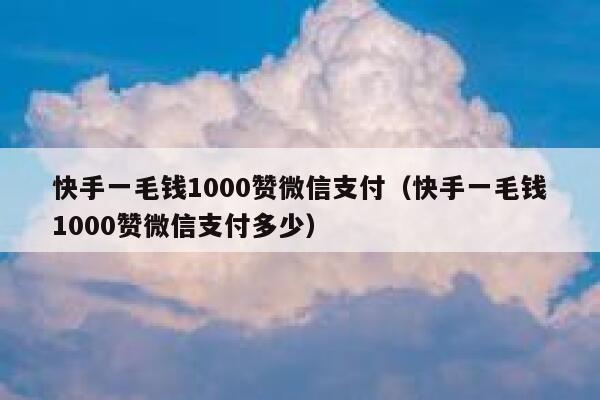 快手一毛钱1000赞微信支付（快手一毛钱1000赞微信支付多少） 第1张