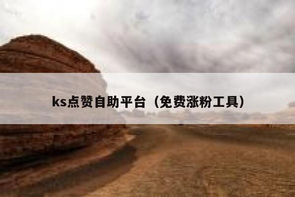 ks点赞自助平台（免费涨粉工具） 第1张