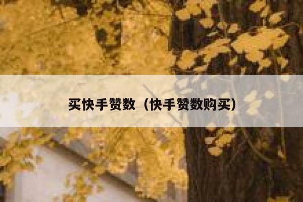 买快手赞数（快手赞数购买） 第1张