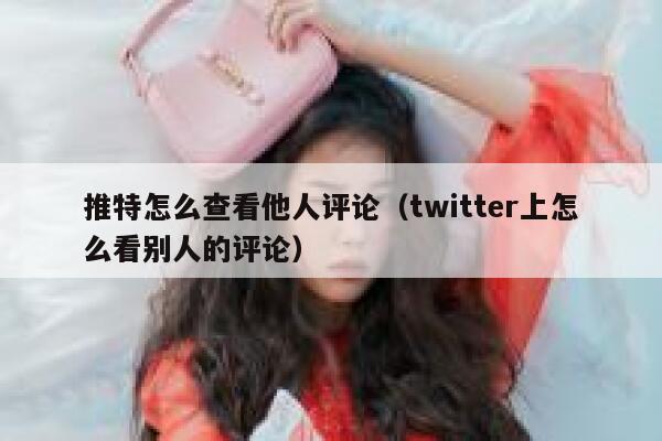 推特怎么查看他人评论(twitter上怎么看别人的评论) 第1张 推特怎么查看他人评论(twitter上怎么看别人的评论) 第1张