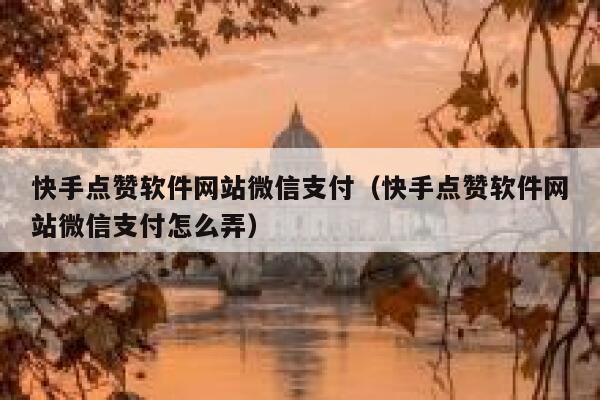 快手点赞软件网站微信支付（快手点赞软件网站微信支付怎么弄） 第1张