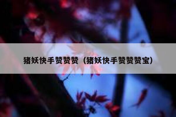 猪妖快手赞赞赞（猪妖快手赞赞赞宝） 第1张