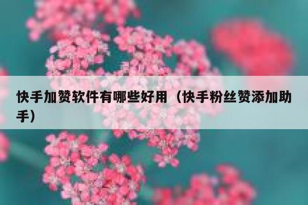 快手加赞软件有哪些好用（快手粉丝赞添加助手） 第1张