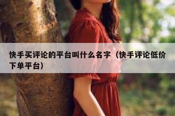 快手买评论的平台叫什么名字（快手评论低价下单平台） 第1张