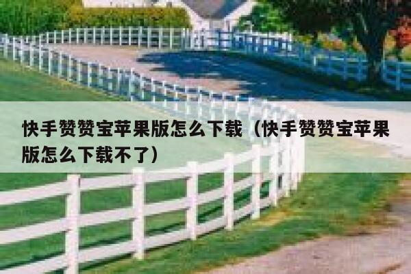 快手赞赞宝苹果版怎么下载（快手赞赞宝苹果版怎么下载不了） 第1张