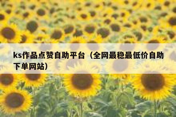 ks作品点赞自助平台（全网最稳最低价自助下单网站） 第1张