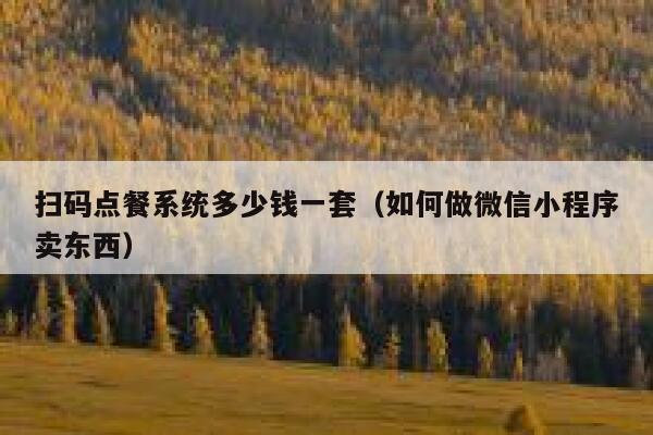 扫码点餐系统多少钱一套（如何做微信小程序卖东西） 第1张