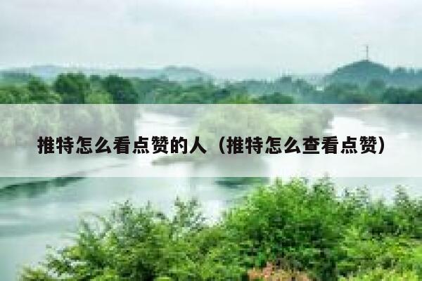 推特怎么看点赞的人(推特怎么查看点赞) 第1张 推特怎么看点赞的人(推特怎么查看点赞) 第1张