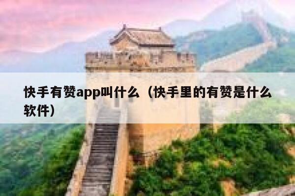 快手有赞app叫什么（快手里的有赞是什么软件） 第1张