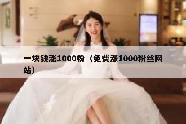 一块钱涨1000粉（免费涨1000粉丝网站） 第1张