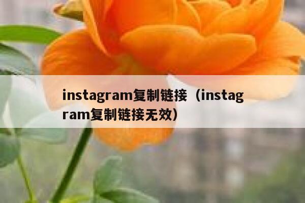 instagram复制链接（instagram复制链接无效） 第1张