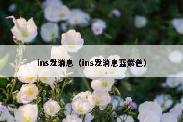 ins发消息（ins发消息蓝紫色） 第1张