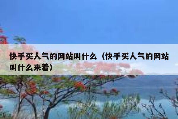 快手买人气的网站叫什么（快手买人气的网站叫什么来着） 第1张