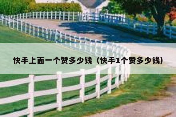 快手上面一个赞多少钱（快手1个赞多少钱） 第1张