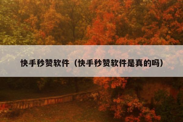 快手秒赞软件（快手秒赞软件是真的吗） 第1张
