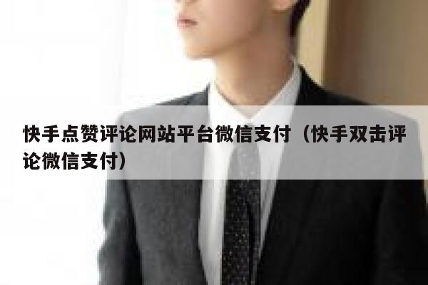 快手点赞评论网站平台微信支付（快手双击评论微信支付） 第1张
