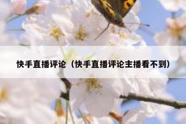 快手直播评论（快手直播评论主播看不到） 第1张