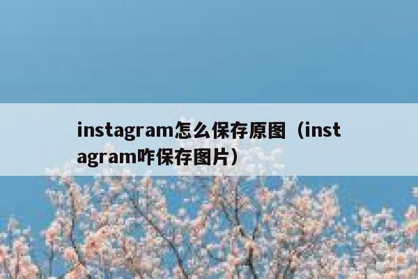 instagram怎么保存原图（instagram咋保存图片） 第1张