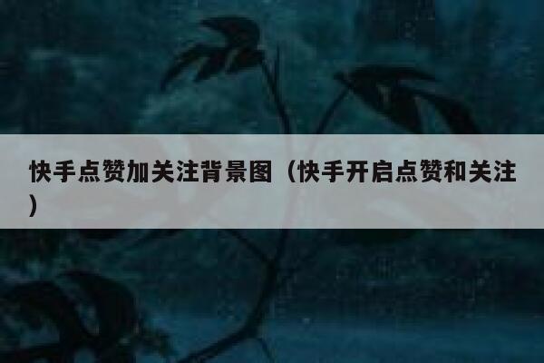 快手点赞加关注背景图(快手开启点赞和关注) 第1张 快手点赞加关注背景图(快手开启点赞和关注) 第1张