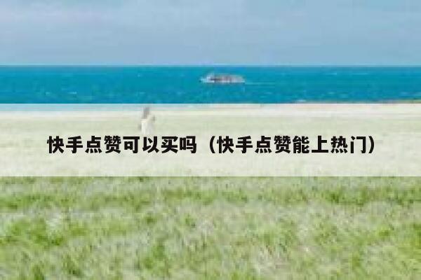 快手点赞可以买吗(快手点赞能上热门) 第1张 快手点赞可以买吗(快手点赞能上热门) 第1张