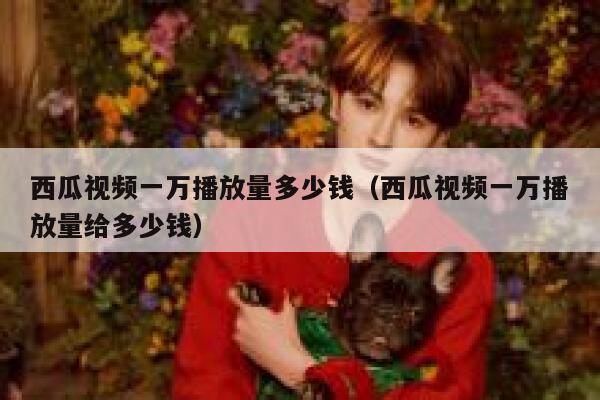 西瓜视频一万播放量多少钱（西瓜视频一万播放量给多少钱） 第1张