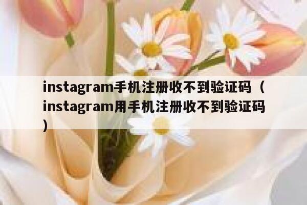 instagram手机注册收不到验证码（instagram用手机注册收不到验证码） 第1张