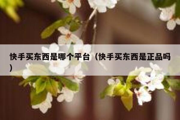 快手买东西是哪个平台（快手买东西是正品吗） 第1张