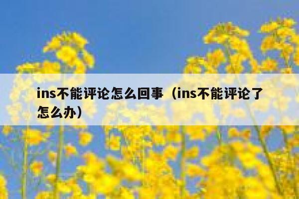 ins不能评论怎么回事（ins不能评论了怎么办） 第1张