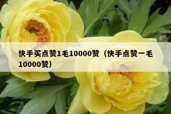 快手买点赞1毛10000赞(快手点赞一毛10000赞) 第1张 快手买点赞1毛10000赞(快手点赞一毛10000赞) 第1张
