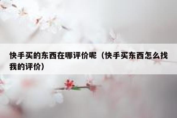 快手买的东西在哪评价呢（快手买东西怎么找我的评价） 第1张