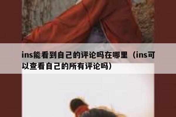 ins能看到自己的评论吗在哪里（ins可以查看自己的所有评论吗） 第1张