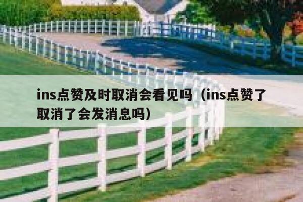 ins点赞及时取消会看见吗(ins点赞了取消了会发消息吗) 第1张 ins点赞及时取消会看见吗(ins点赞了取消了会发消息吗) 第1张
