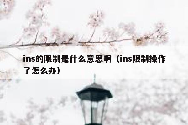 ins的限制是什么意思啊（ins限制操作了怎么办） 第1张