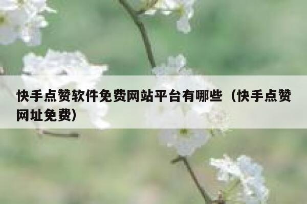 快手点赞软件免费网站平台有哪些（快手点赞网址免费） 第1张