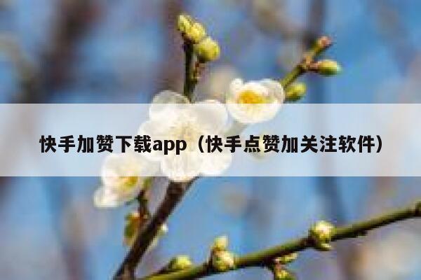 快手加赞下载app（快手点赞加关注软件） 第1张