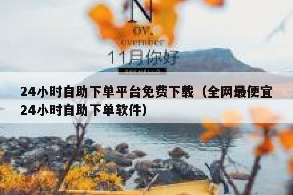 24小时自助下单平台免费下载（全网最便宜24小时自助下单软件） 第1张