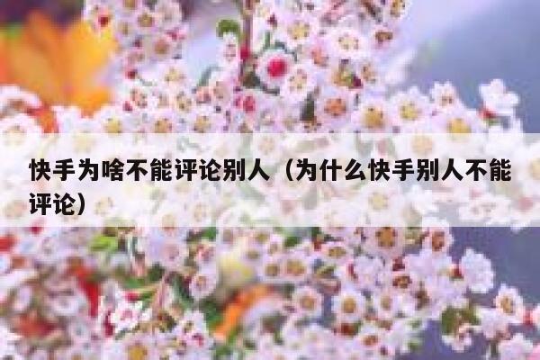 快手为啥不能评论别人（为什么快手别人不能评论） 第1张