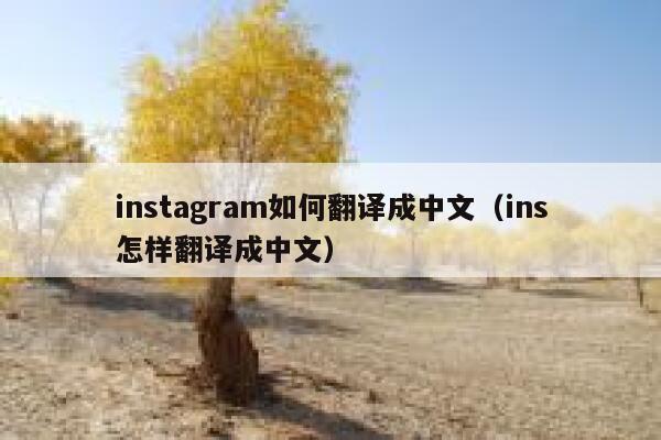 instagram如何翻译成中文（ins怎样翻译成中文） 第1张