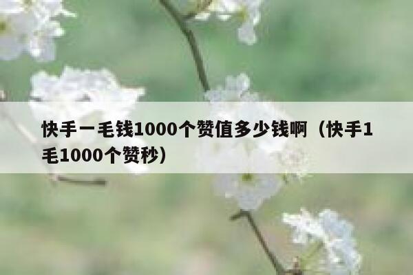 快手一毛钱1000个赞值多少钱啊(快手1毛1000个赞秒) 第1张 快手一毛钱1000个赞值多少钱啊(快手1毛1000个赞秒) 第1张