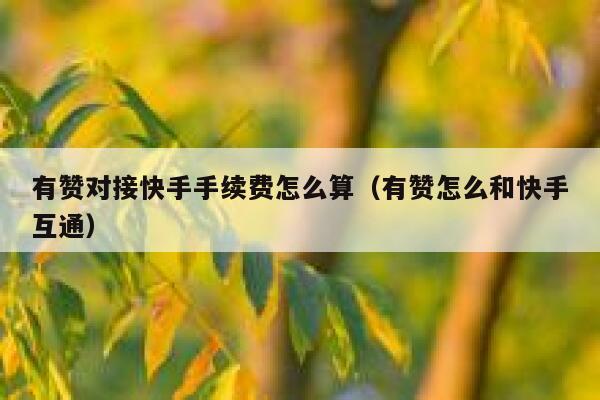有赞对接快手手续费怎么算（有赞怎么和快手互通） 第1张