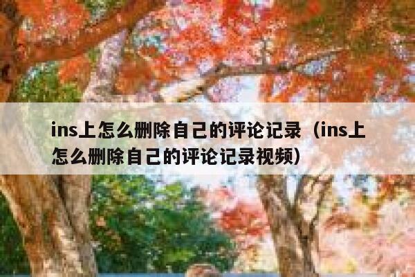 ins上怎么删除自己的评论记录（ins上怎么删除自己的评论记录视频） 第1张