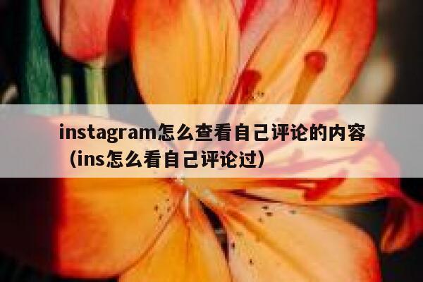 instagram怎么查看自己评论的内容（ins怎么看自己评论过） 第1张